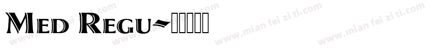 Med Regu字体转换